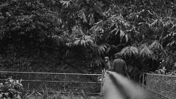 Free download 00057 - the file - the movie. video and edit with RedcoolMedia movie maker MovieStudio video editor online and AudioStudio audio editor onlin