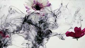 Free download 011 video and edit with RedcoolMedia movie maker MovieStudio video editor online and AudioStudio audio editor onlin