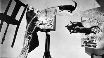 Free download 03- Dali Online- Trailer.mp4 video and edit with RedcoolMedia movie maker MovieStudio video editor online and AudioStudio audio editor onlin