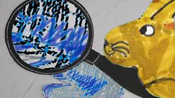 Free download 03 - expedition nordpol_oliver 03 video and edit with RedcoolMedia movie maker MovieStudio video editor online and AudioStudio audio editor onlin