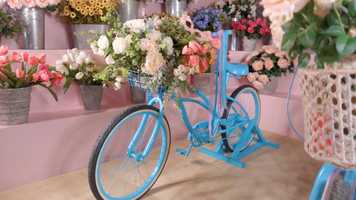 Free download 040321_Red_Rock_Crimson_Elopement_Morgan_Kyle_Highlight_Film.mp4 video and edit with RedcoolMedia movie maker MovieStudio video editor online and AudioStudio audio editor onlin