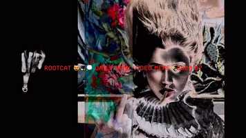 Free download 0:41 YESTERDAY 2020 07 19 ⭕️ ROOTCAT ⭕️ DAILY DANK VIDEO MEME 2020 video and edit with RedcoolMedia movie maker MovieStudio video editor online and AudioStudio audio editor onlin