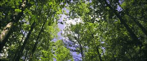 Free download 04.25.21 - High Falls video and edit with RedcoolMedia movie maker MovieStudio video editor online and AudioStudio audio editor onlin