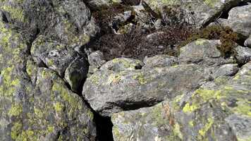 Free download 04-Film-Webseite video and edit with RedcoolMedia movie maker MovieStudio video editor online and AudioStudio audio editor onlin