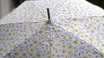 Free download 04_movie_floatus_01_v3 video and edit with RedcoolMedia movie maker MovieStudio video editor online and AudioStudio audio editor onlin