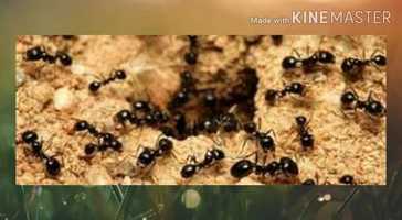 Free download 05_Science_Lesson01_Module01 video and edit with RedcoolMedia movie maker MovieStudio video editor online and AudioStudio audio editor onlin