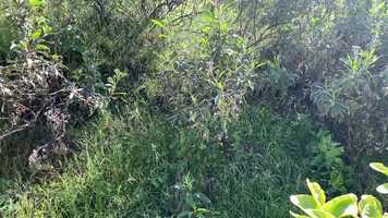 Free download 08 Alex Crespo - Movie Trailer video and edit with RedcoolMedia movie maker MovieStudio video editor online and AudioStudio audio editor onlin