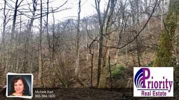 Free download 1070 Deep Hollow Rd Gatlinburg, TN 37738 video and edit with RedcoolMedia movie maker MovieStudio video editor online and AudioStudio audio editor onlin