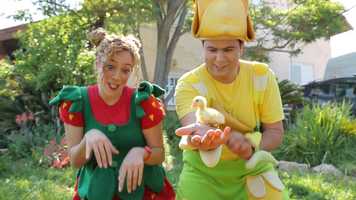 Free download 10_Duck Song video and edit with RedcoolMedia movie maker MovieStudio video editor online and AudioStudio audio editor onlin