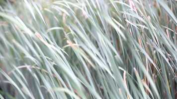 Free download 10 Find Serenity Within Before Bed (singing bowls) video and edit with RedcoolMedia movie maker MovieStudio video editor online and AudioStudio audio editor onlin