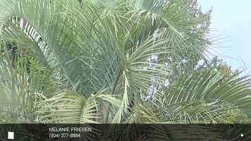 Free download 115 Kane Rd East Palatka, FL 32131 video and edit with RedcoolMedia movie maker MovieStudio video editor online and AudioStudio audio editor onlin