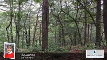 Free download 1229 Hilton Drive Ranger, GA 30734 video and edit with RedcoolMedia movie maker MovieStudio video editor online and AudioStudio audio editor onlin