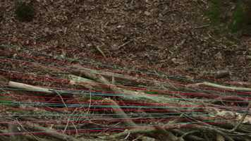 Free download 12 - CYBERNETIC ECOLOGY - ENGLISH VERSION video and edit with RedcoolMedia movie maker MovieStudio video editor online and AudioStudio audio editor onlin