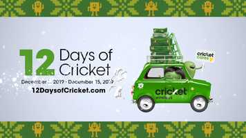 Free download 12 Days of Cricket | Nominate a Family Animation video and edit with RedcoolMedia movie maker MovieStudio video editor online and AudioStudio audio editor onlin
