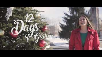 Free download 12 Days of Goshen Shop Local Ad Campaign video and edit with RedcoolMedia movie maker MovieStudio video editor online and AudioStudio audio editor onlin