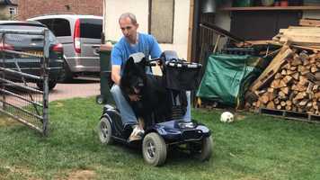 Free download 12. Ted  Sean Fun video and edit with RedcoolMedia movie maker MovieStudio video editor online and AudioStudio audio editor onlin