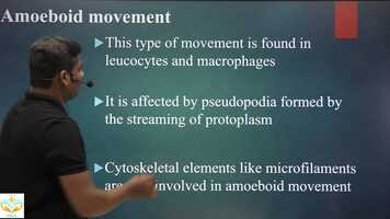 Free download 12th Biology-Locomotion  Movement L-2 19-06-2021 video and edit with RedcoolMedia movie maker MovieStudio video editor online and AudioStudio audio editor onlin