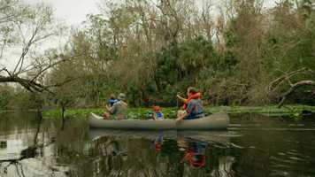 Free download 12x12 E9 - Lush Life video and edit with RedcoolMedia movie maker MovieStudio video editor online and AudioStudio audio editor onlin