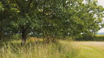 Free download 13-07-20 OP Graffham pt1 4K video and edit with RedcoolMedia movie maker MovieStudio video editor online and AudioStudio audio editor onlin