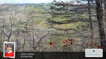 Free download 1563 Dover Circle Ranger, GA 30734 video and edit with RedcoolMedia movie maker MovieStudio video editor online and AudioStudio audio editor onlin