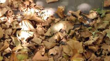 Free download 170821diary video and edit with RedcoolMedia movie maker MovieStudio video editor online and AudioStudio audio editor onlin