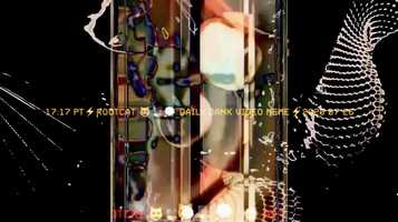 Free download 17:17 PT⚡️ROOTCAT⚡️DAILY DANK VIDEO MEME⚡️2020 07 26 video and edit with RedcoolMedia movie maker MovieStudio video editor online and AudioStudio audio editor onlin