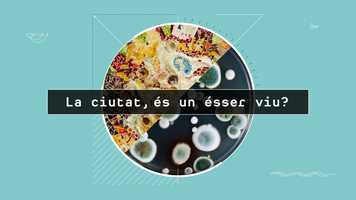 Free download 1766-AJUNTAMENT-ICUB-SPOT video and edit with RedcoolMedia movie maker MovieStudio video editor online and AudioStudio audio editor onlin