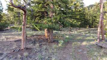 Free download 180 Acre Film  Television Production Property. 5 minutes from Merritt, B.C. video and edit with RedcoolMedia movie maker MovieStudio video editor online and AudioStudio audio editor onlin