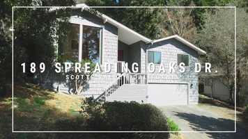 Free download 189 Spreading Oaks video and edit with RedcoolMedia movie maker MovieStudio video editor online and AudioStudio audio editor onlin