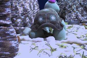 Free download 190129 Blue notes video and edit with RedcoolMedia movie maker MovieStudio video editor online and AudioStudio audio editor onlin