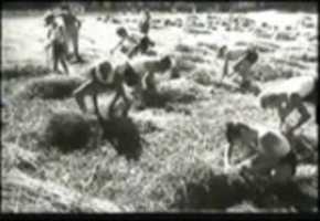 Free download 1944-09-14-Die-Deutsche-Wochenschau-Nr.732-Tonstoerungen video and edit with RedcoolMedia movie maker MovieStudio video editor online and AudioStudio audio editor onlin