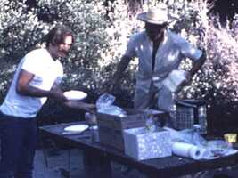 Free download 1970 Mitch Football video and edit with RedcoolMedia movie maker MovieStudio video editor online and AudioStudio audio editor onlin