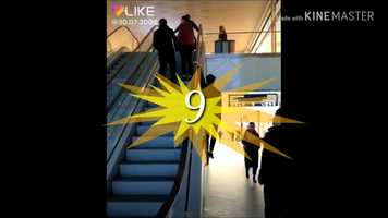 Free download #1 Algeia Top-10 LIKE app videos video and edit with RedcoolMedia movie maker MovieStudio video editor online and AudioStudio audio editor onlin