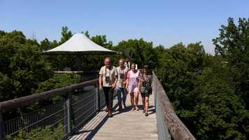 Free download 1 dgn, 2 hold, 3 dyr sson 5 trailer homepage video and edit with RedcoolMedia movie maker MovieStudio video editor online and AudioStudio audio editor onlin