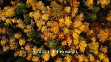 Free download 1. I am the One video and edit with RedcoolMedia movie maker MovieStudio video editor online and AudioStudio audio editor onlin