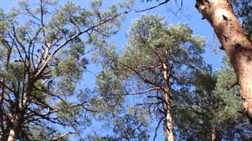 Free download 1minfreeday02 video and edit with RedcoolMedia movie maker MovieStudio video editor online and AudioStudio audio editor onlin