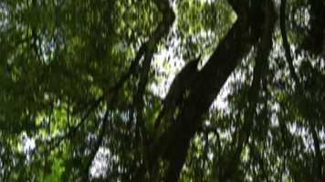 Free download 1 MINUTE OF COSTA BRAVA | 2020 video and edit with RedcoolMedia movie maker MovieStudio video editor online and AudioStudio audio editor onlin