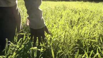 Free download 2016 HISTORY BRAND FILM video and edit with RedcoolMedia movie maker MovieStudio video editor online and AudioStudio audio editor onlin