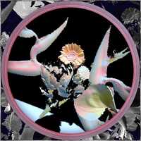 Free download 2016 VOGUE ITALIA ITS ALL ABOUT SHAPES video and edit with RedcoolMedia movie maker MovieStudio video editor online and AudioStudio audio editor onlin