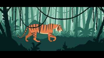 Free download 20181104_TIGER ANIMATION FINAL_1 video and edit with RedcoolMedia movie maker MovieStudio video editor online and AudioStudio audio editor onlin