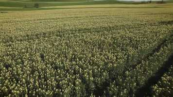 Free download 2018 PYREG Movie video and edit with RedcoolMedia movie maker MovieStudio video editor online and AudioStudio audio editor onlin