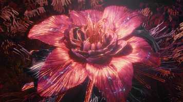 Free download 2018 臺中世界花卉博覽會 - Taichung World Flora Exposition CF video and edit with RedcoolMedia movie maker MovieStudio video editor online and AudioStudio audio editor onlin