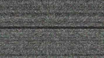 Free download 2019_02_02 video and edit with RedcoolMedia movie maker MovieStudio video editor online and AudioStudio audio editor onlin