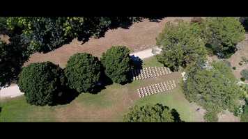 Free download 2019_06_29 - Alessandro  Tara - Trailer video and edit with RedcoolMedia movie maker MovieStudio video editor online and AudioStudio audio editor onlin