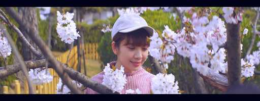 Free download 2019 Ayumi Osaka Sakura - Shot on Blackmagic Pocket Cinema Camera 4K Anamorphic video and edit with RedcoolMedia movie maker MovieStudio video editor online and AudioStudio audio editor onlin