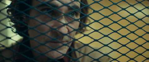 Free download 2019 in Film - Trailer video and edit with RedcoolMedia movie maker MovieStudio video editor online and AudioStudio audio editor onlin