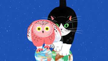 Free download 2019 KARA Animal Film Festival Trailer video and edit with RedcoolMedia movie maker MovieStudio video editor online and AudioStudio audio editor onlin