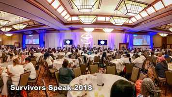 Free download 2019 National Crime Victims Rights Week video and edit with RedcoolMedia movie maker MovieStudio video editor online and AudioStudio audio editor onlin