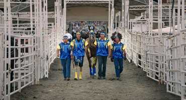 Free download 2019 Short Film Tour Trailer video and edit with RedcoolMedia movie maker MovieStudio video editor online and AudioStudio audio editor onlin