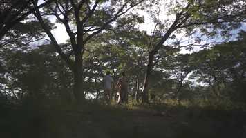 Free download 2020-01-08--Frederic  Diane Concept Film --1918 video and edit with RedcoolMedia movie maker MovieStudio video editor online and AudioStudio audio editor onlin